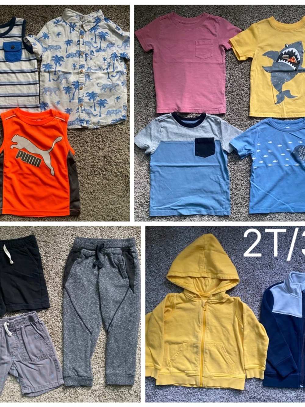 2T/3T Bundle